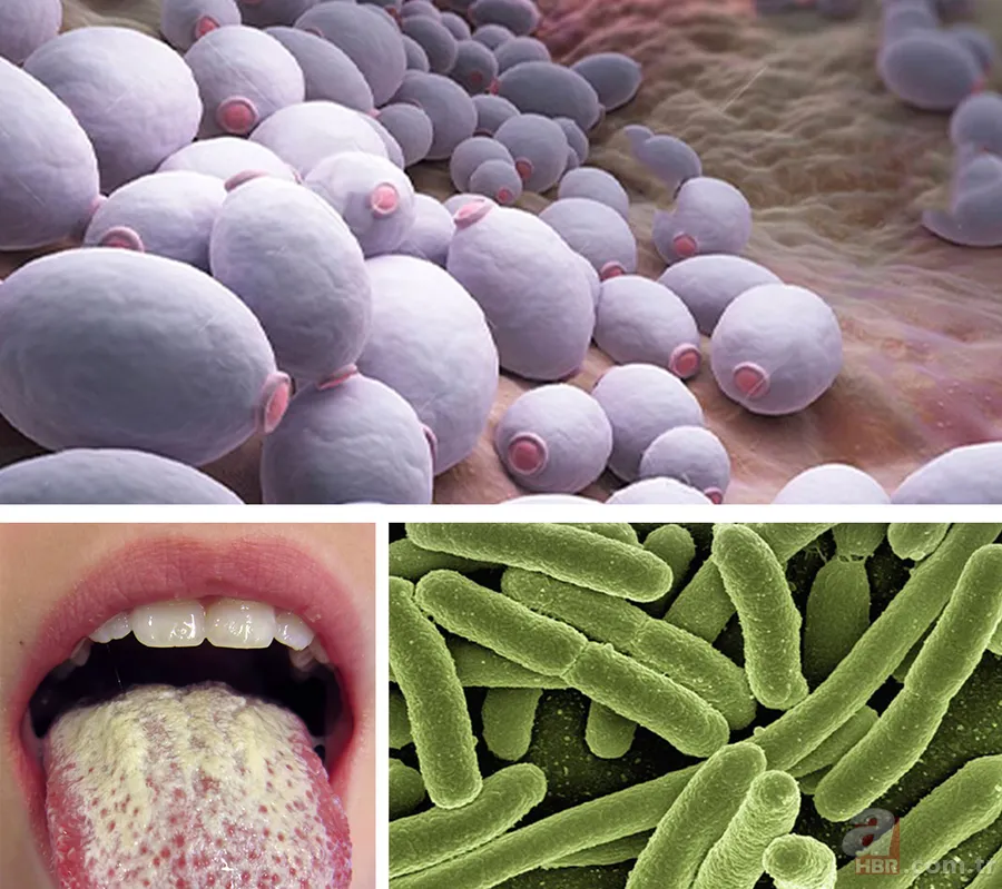 Sabah bir bardak suya tükürün! Tükürüğünüz suyun yüzeyinde kalmıyorsa… 24