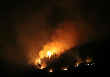 Hatay'da çıkan orman yangını söndürüldü!
