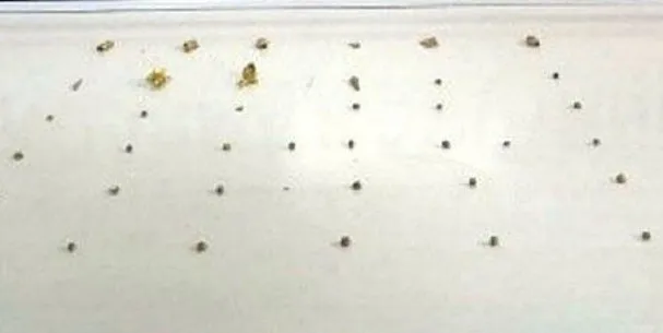 Eskişehir’de ellerindeki tarihi eserleri satmaya çalışırken yakalandılar