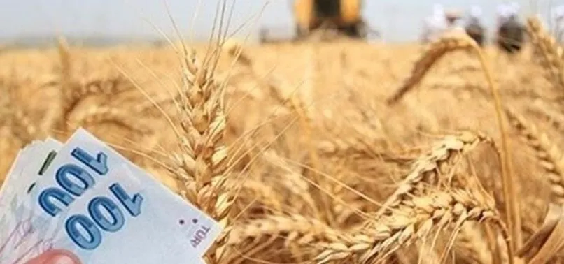 Son dakika: Çiftçilere 1,2 milyar TL ödeme yapılacak