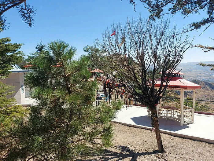 Ankara'da Hüseyin Gazi Cemevi'nin dilek ağacını yakanlara gözaltı! Cemevi dedesi Hüseyin Öz: Provokasyon olabilir - 3