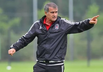 İşte Kartal'ın Ibrahimovic'i