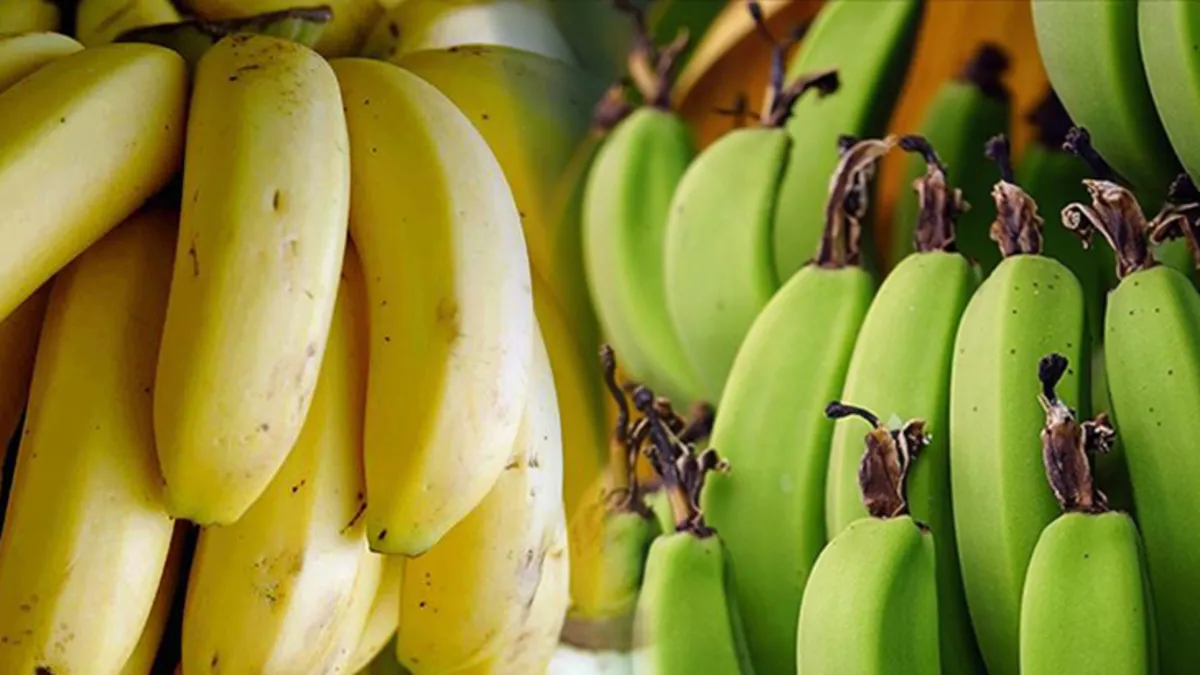Hangi muz sağlıklı? Yeşil ve sarı muz arasındaki fark...