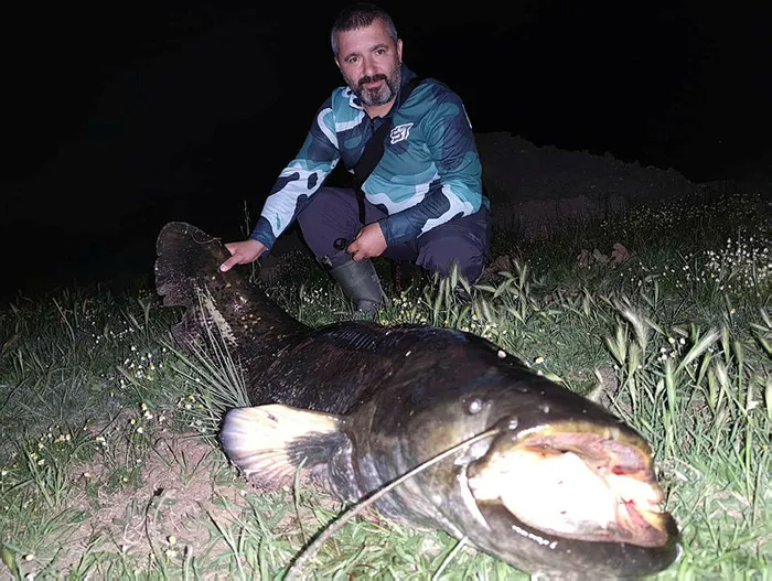 2 metre uzunluğunda! O ilde yakalandı - 1