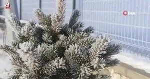 Ardahan’ın Göle ilçesi buz kesti