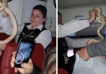 Hostes, kabinde öyle bir şey yakaladı ki...