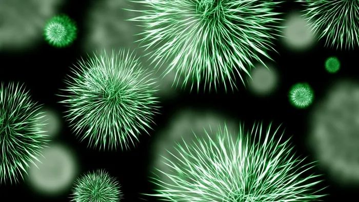 lyme-hastaligi-nedir-belirtileri-neler-lyme-hastaligi-bulasici-mi-nasil-tedavi-edilir-1758192163726.jpg A Haber Foto Arşiv