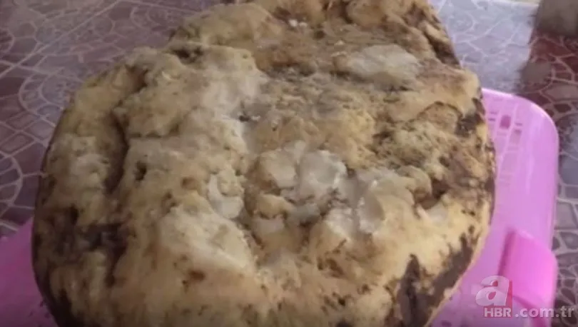 Yürüyüşe çıktı hayatı değişti! Değeri dudak uçuklattı 2