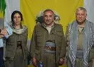 HDP’li vekil adayı teröristleri övdü