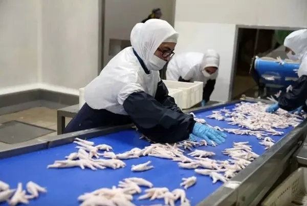 Uşak’tan dünyaya satıyor! Hedefleri 50 milyon