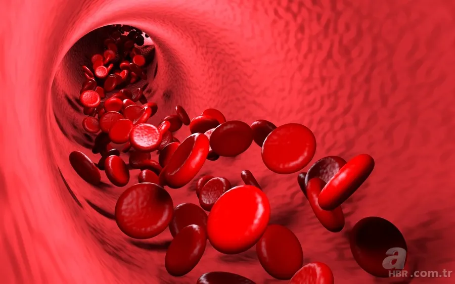 Tuvalette telefonla vakit geçirenler dikkat: Hemoroid riskini yüzde 46 artırıyor 4