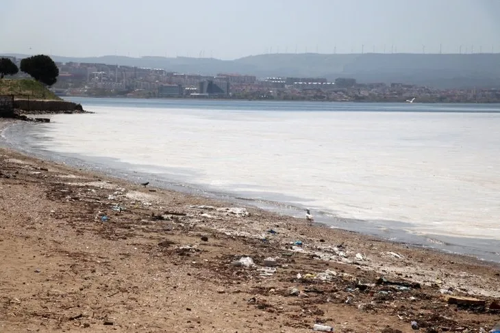 İstanbul, Kocaeli ve Balıkesir’den sonra şimdi de Çanakkale’de deniz salyası görüldü!