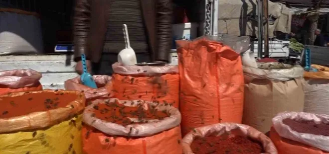 Erciş'te bal arıları baharatçıya akın etti