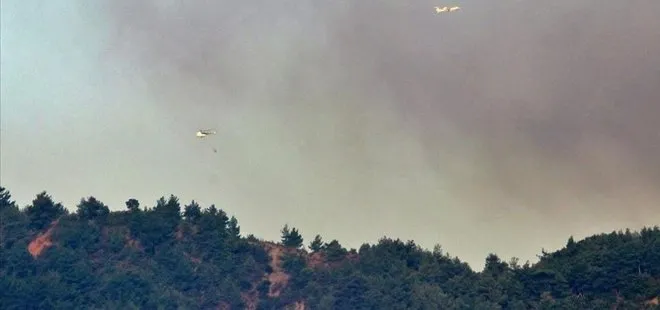 Son dakika: Hatay’daki orman yangınına havadan müdahale tekrar başladı