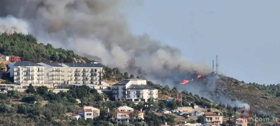 Muğla'nın Datça ilçesinde Kargı mevkindeki ormanlık alanda yangın! 6 helikopter 3 uçakla olay yerine anında müdahale 5