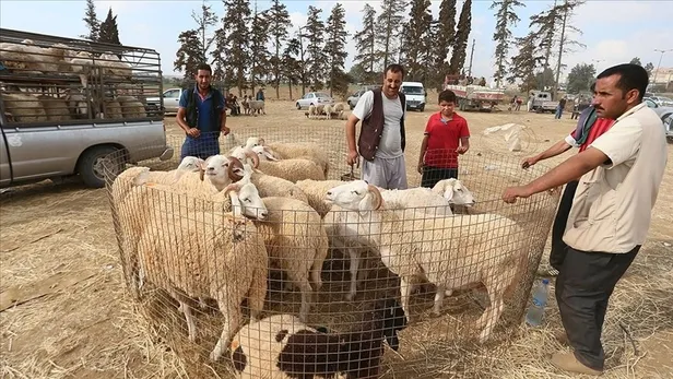 kurban-bayrami-ne-zaman-baslayip-bitecek-2023-kurban-bayrami-tatili-ozel-sektor-calisanlarina-kac-gun-1686646814999.jpg Kurban Bayramı ne zaman başlayıp, bitecek? 2023 Kurban Bayramı tatili özel sektör çalışanlarına kaç gün? - 2