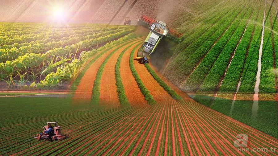 Mazotun tamamı, gübrenin yarısı devletten: Çiftçinin maliyeti düşecek 13