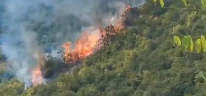 Son dakika: Sarıyer’de korkutan orman yangını