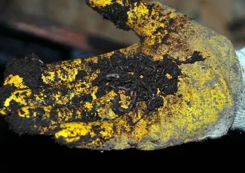 'Solucan gübresi' isteğine yetişemiyorlar