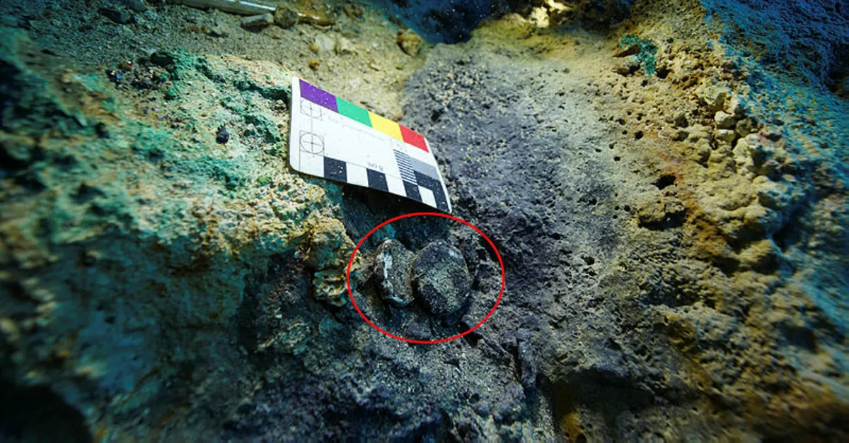 Tunç Çağı batığında 3 bin 600 yıllık kurşun ağırlıklar bulundu