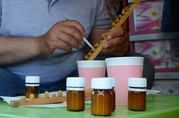 Karadeniz’de gramla üretilen arı sütü, yurt dışına ihracat yolunda - 1