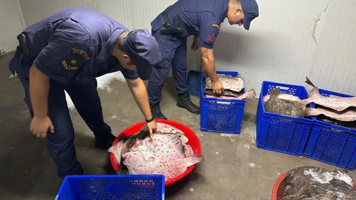 Zonguldak'ta kaçak kalkan avcılığına operasyon