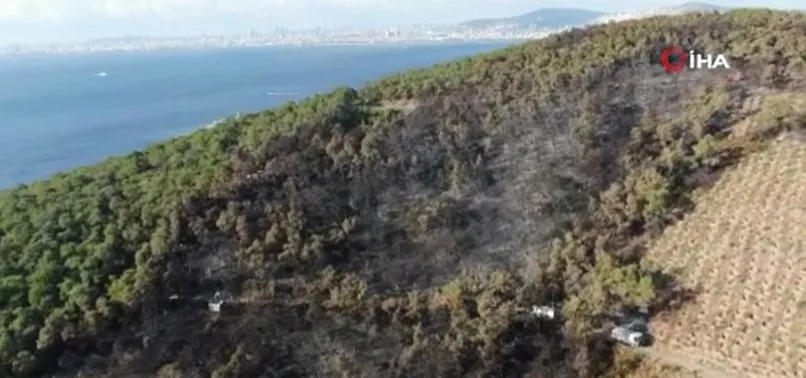 İstanbul Heybeliada’da yangının bıraktığı hasar havadan görüntülendi
