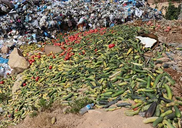 Antalya'da çöpe dökülen sebzelerle ilgili Ticaret Bakanı Mehmet Muş'tan açıklama: En ağır yaptırım uygulanacak
