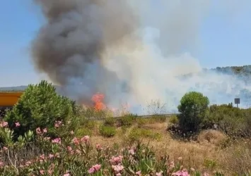 Milas'ta orman yangını! Tahliyeler başladı elektrik kesintileri yaşanıyor! A Haber bölgede...