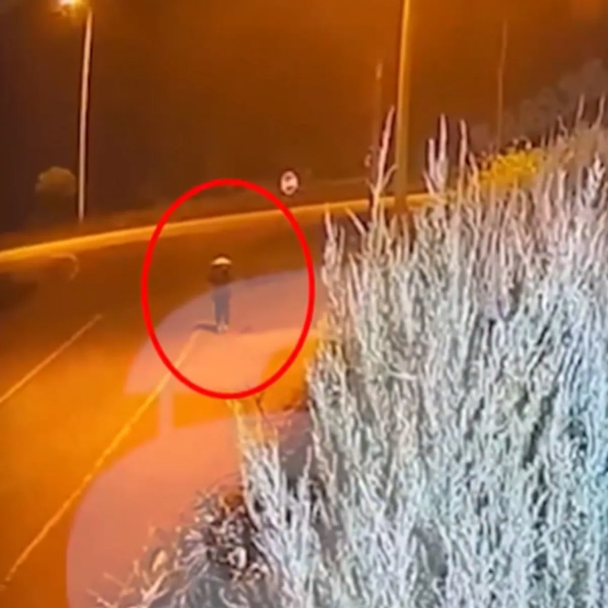 CHP'li Dede'nin taciz ettiği kız hayatını kaybetmişti! Tuana'nın son görüntülerine ahaber.com.tr ulaştı