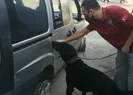 Zehir deposu! Neler çıktı neler