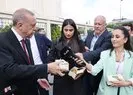 Başkan Erdoğan’dan Miçotakis’e tepki
