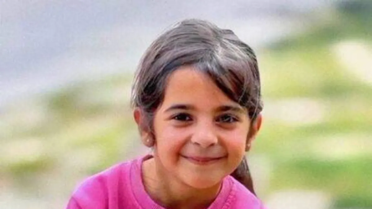 Narin Güran davasında yeni gelişme! Nevzat Bahtiyar'ın avukatından istinaf başvurusu