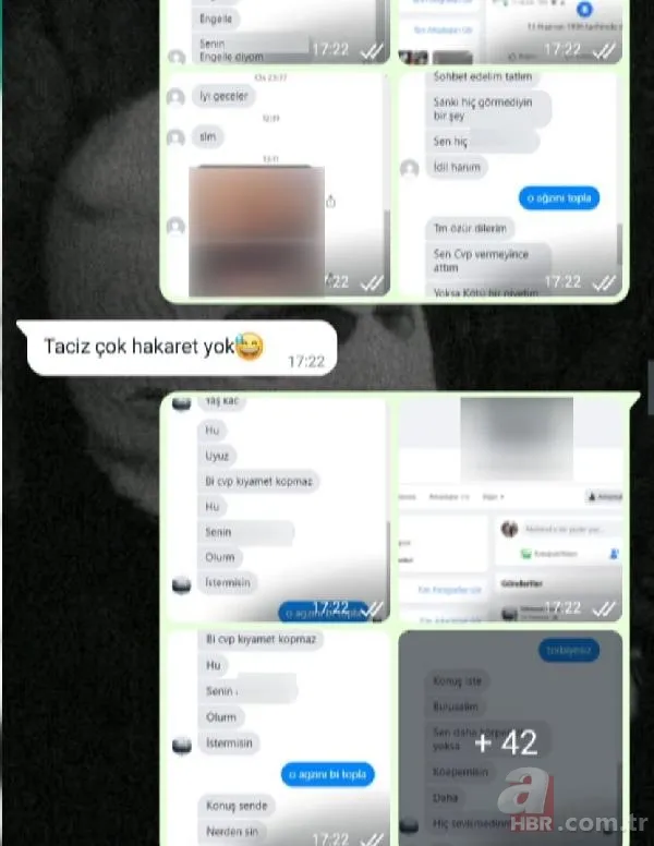 Sosyal medyada sahte hesaplarla 'taciz' tuzağı! Tahrik edici konuşmalar, ekran görüntüleri, WhatsApp yazışmaları... 4