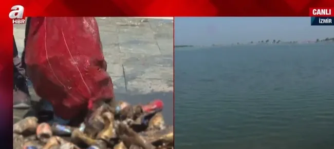 İzmir Körfezi’ni müsilaj değil kirlilik vurdu! İzmir Körfezi’nin kaderi değişecek mi?