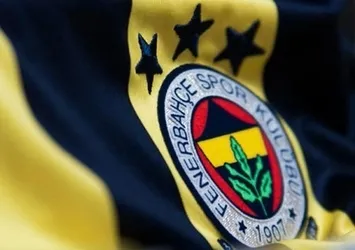 Fenerbahçe'nin yeni hocası Mario Been mi olacak?