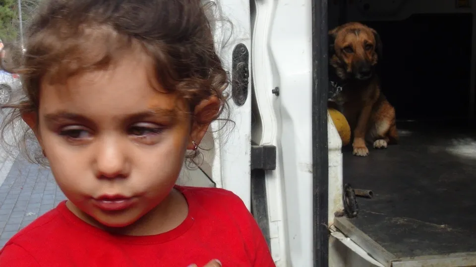 Son dakika: Köpek severken dehşeti yaşadı! Gözünden oluyordu