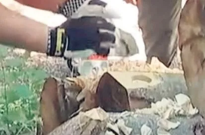 Almanya’da ’odun’ savaşları! Enerji faturası hırsızlığı patlattı