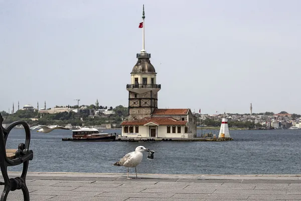 Kız Kulesi gözlerini yeniden açıyor! Kız Kulesi restore ediliyor - 2