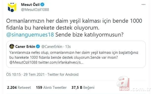 Türkiye yangına karşı tek yürek: Ünlü isimler de destek veriyor! Ormanlara ağaç dikilmesi için büyük kampanya başladı 11