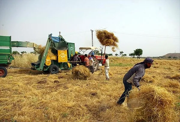 Çiftçilere mazot ve gübre desteği Resmi Gazete’de! Bakan İbrahim Yumaklı: Üretimimize güç katmaya devam edeceğiz