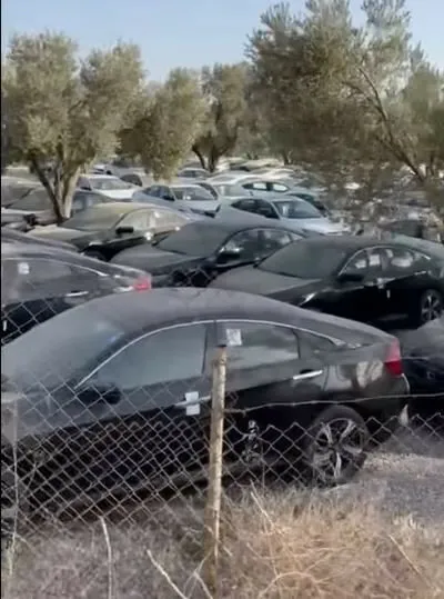 Görüntüler İzmir'den: Sıfır araçta 'stokçuluk' iddiası! İki bin şikayet sonrası bakanlık harekete geçmişti - 1