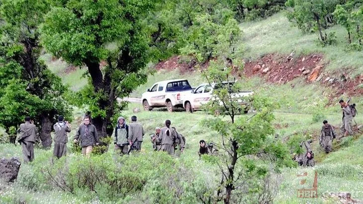PKK'nın çocuk istismarı! Terörist Murat Karayılan özel olarak ilgilenmiş