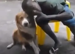Köpek ile fotoğraf çektirmek isterken dehşeti yaşadı! O anlar böyle görüntülendi