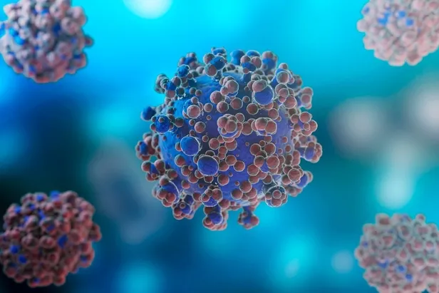 adenovirus-nedir-belirtileri-neler-adenovirus-enfeksiyonu-bulasici-mi-nasil-bulasir-tedavisi-neler-1707374534152.jpg Adenovirüs nedir, belirtileri neler? Adenovirüs enfeksiyonu bulaşıcı mı, nasıl bulaşır, tedavisi neler? - 1