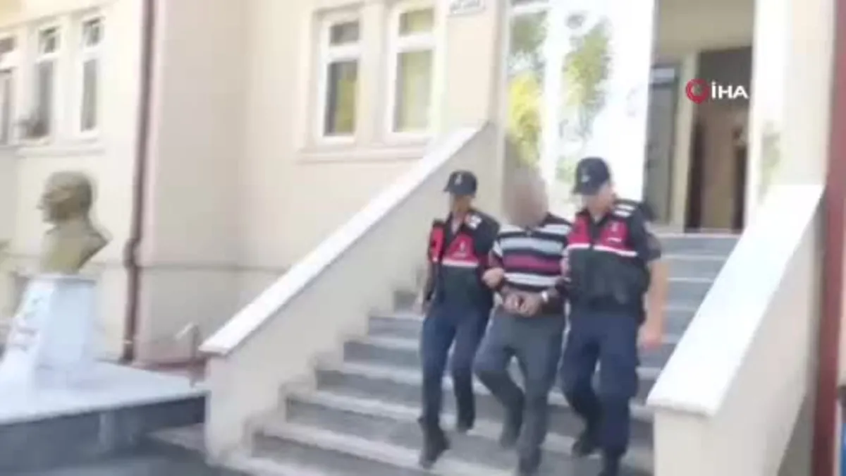 Sakarya'da tarladan mısır koçanı ve üzüm çalan hırsızlar jandarmadan kaçamadı