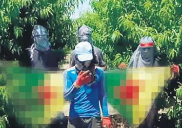 Hainlerin Adana'daki yapılanması 15 gün sonra çöktü