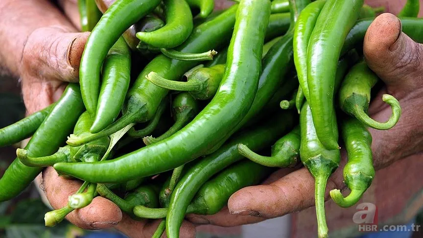 0, A, B ve AB kan grubuna göre nasıl beslenilmeli? Milyonları ilgilendiriyor 6