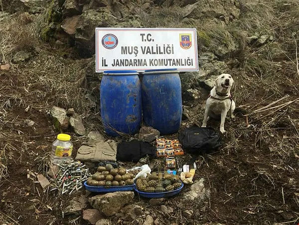 Muş'ta PKK'nın 90 el bombası ele geçirildi - 1