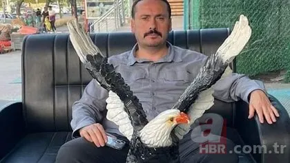 Beşiktaş amigosu Seyit Subaşı öldürüldü! Katilin ifadesi ortaya çıktı